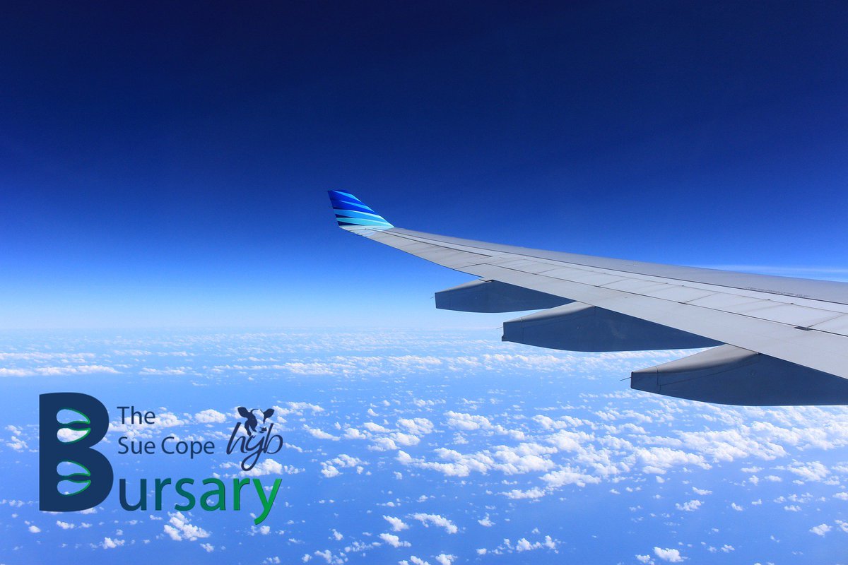 Holstein Young Breeders tweet media