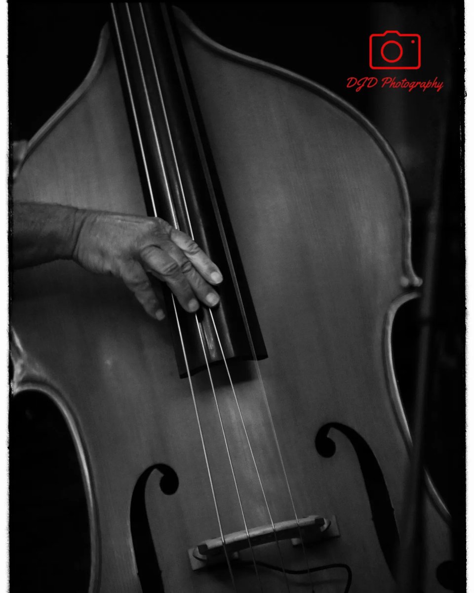 DJDiaz88's tweet photo. Will be uploading more from last night's event over the course of the weekend.

#Gibraltar #LiveMusic #JazzNight #DoubleBass #OneOfMyOwn #Framed #Monochrome #DJDPhotography #CanonPhotography #Sigma #Fingers #BlackAndWhite

Cc: @TheEliottHotel https://t.co/De4CfRxJ7p