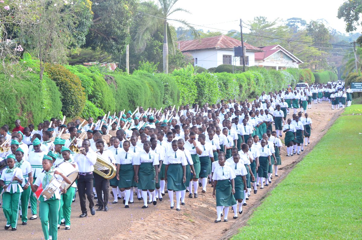 Native tv international tweet media