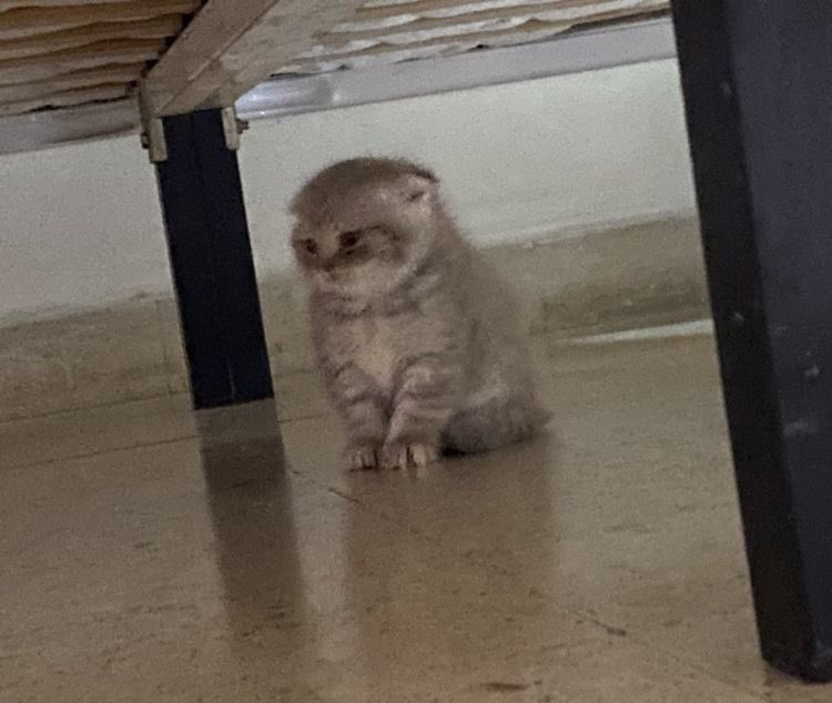 กุอยากมีเพื่อน เปนกุ่มเปนก้อน อยากมีกุ้บในเดม ทำไมทุกคนมีเพื่อน ทำไมกุ…