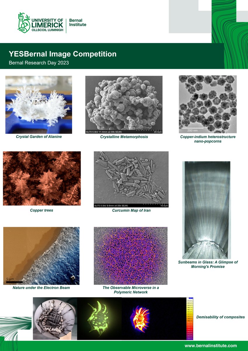 We have received over 25 entries for this year's Bernal Research Day Image Competition. Voting poll is now open to all Bernal affiliates.

Best of luck to all participants! 🥇 🥈 🥉

🍀🍀🍀

#research