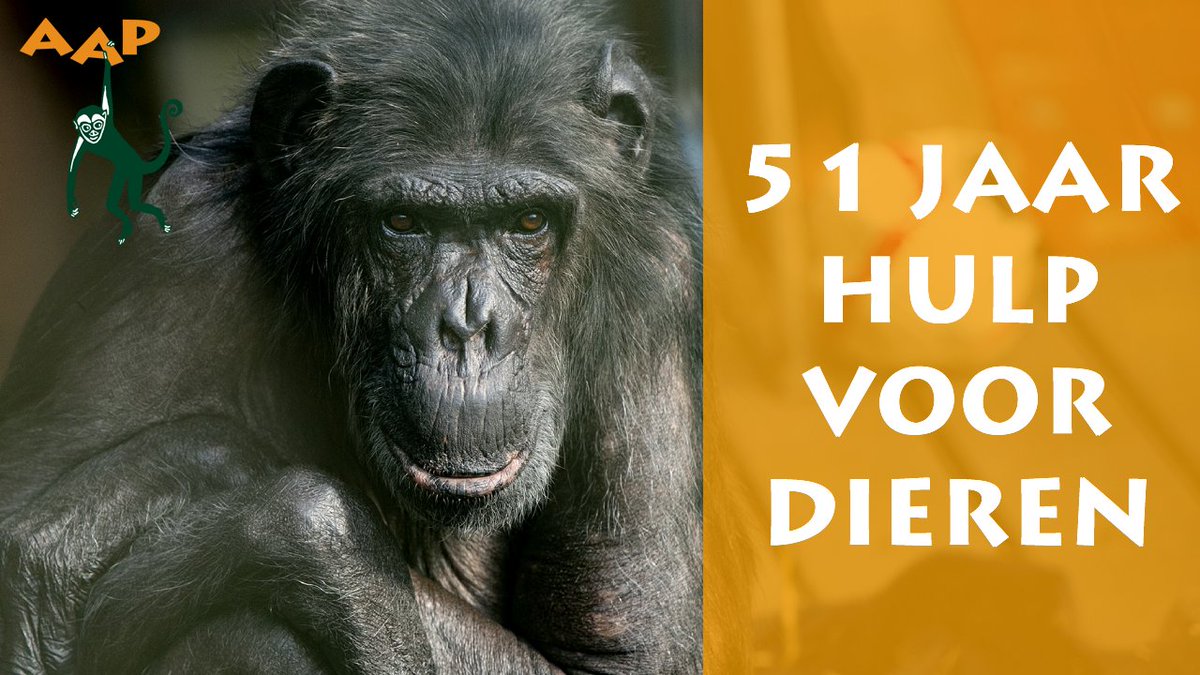 Stichting AAP tweet media