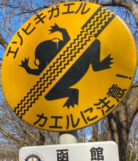 etsuko tweet media