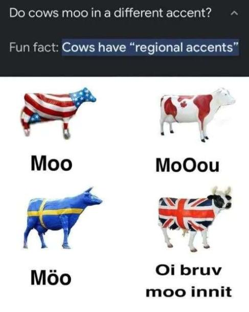 krayvenofficial's tweet photo. 'Cows have regional accents' is my favourite fact of the day.
And this meme is 🔥
#HappyFriday 😂 #BritishCows https://t.co/0AjOfb0UIK