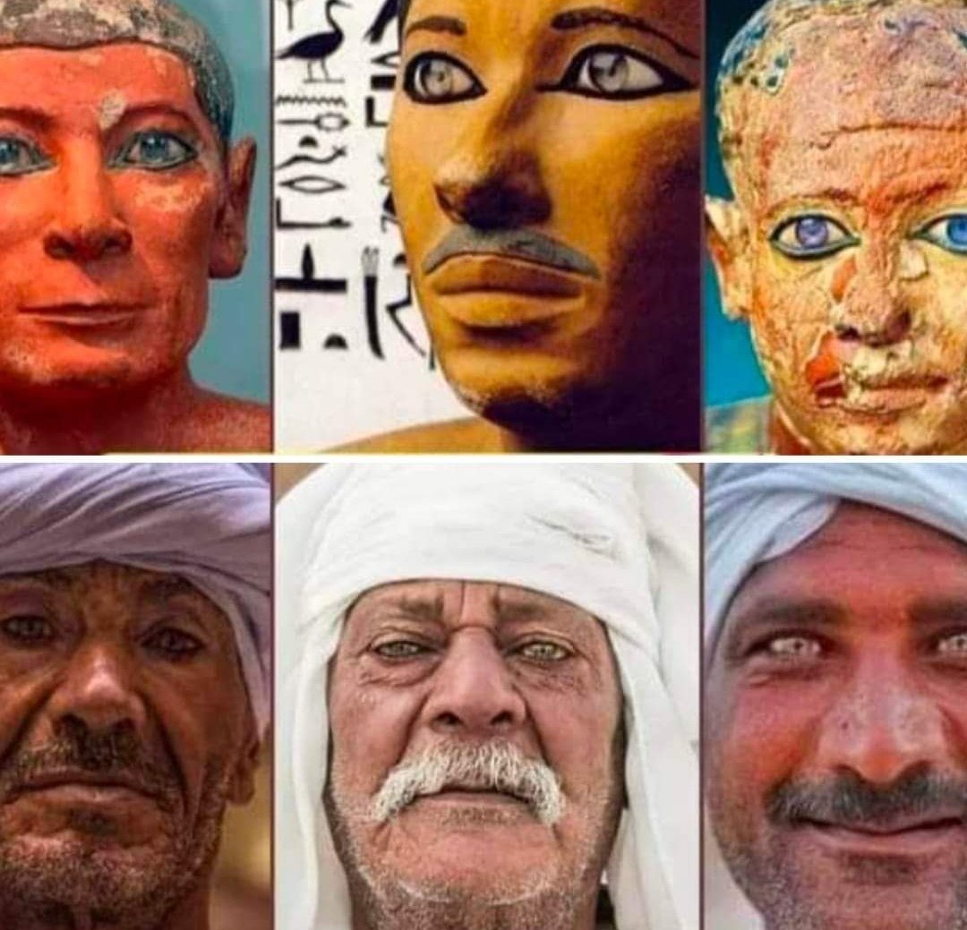EGY_AHS's tweet photo. @jadapsmith @netflix @Nutopia_tv @Westbrook @strongblacklead @WestbrookInc Egyptian people 🤍🤍🤍 not 🖤🖤🖤 https://t.co/9UkMYRxoxp