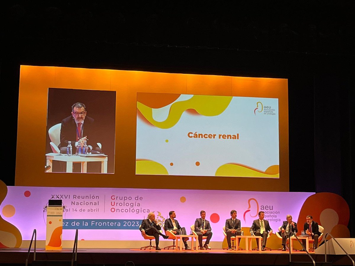 Satisfechos de haber participado activamente en #GUO23  <a href="/InfoAeu/">AEU</a>. Hemos compartido con la #Urología nacional nuestros últimos trabajos en Cancer de Próstata, Renal y Germinal. #SomosHUVR