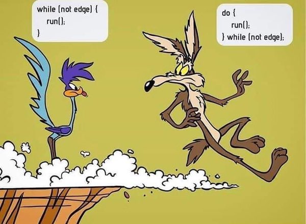 SokaynaBN's tweet image. Do{
…}while VS while{…} loops . #programming_fact #cisfun