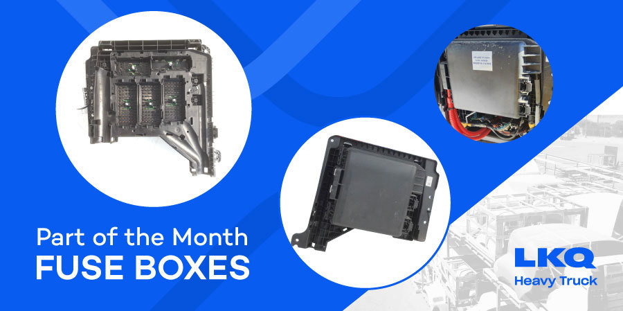 LKQHeavyTruck's tweet image. This month #partofthemonth is FUSE BOXES!
Explore our selection of quality #fuseboxes!
Visit our website or call us today!
#lkqheavytruck #truckparts #LKQmmunity
#partofthemonth #trucking

Link: lkq-ht.com/shop-parts/pro…