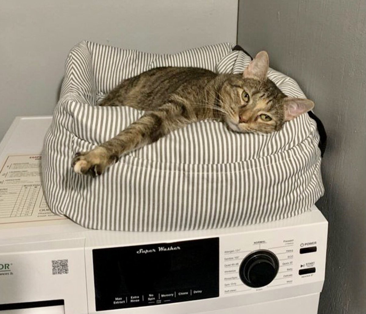 Just because I’m awake, that doesn’t mean I’m ready to do things…