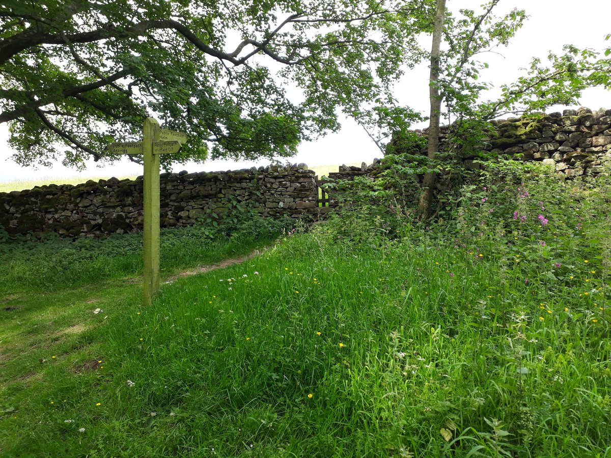 <a href="/yorkshire_dales/">Yorkshire Dales National Park</a> <a href="/yorkshire_dales/">Yorkshire Dales National Park</a> ❤
Thank you for happy summer 2022 memories 💚
🐻❤ Askrigg ❤