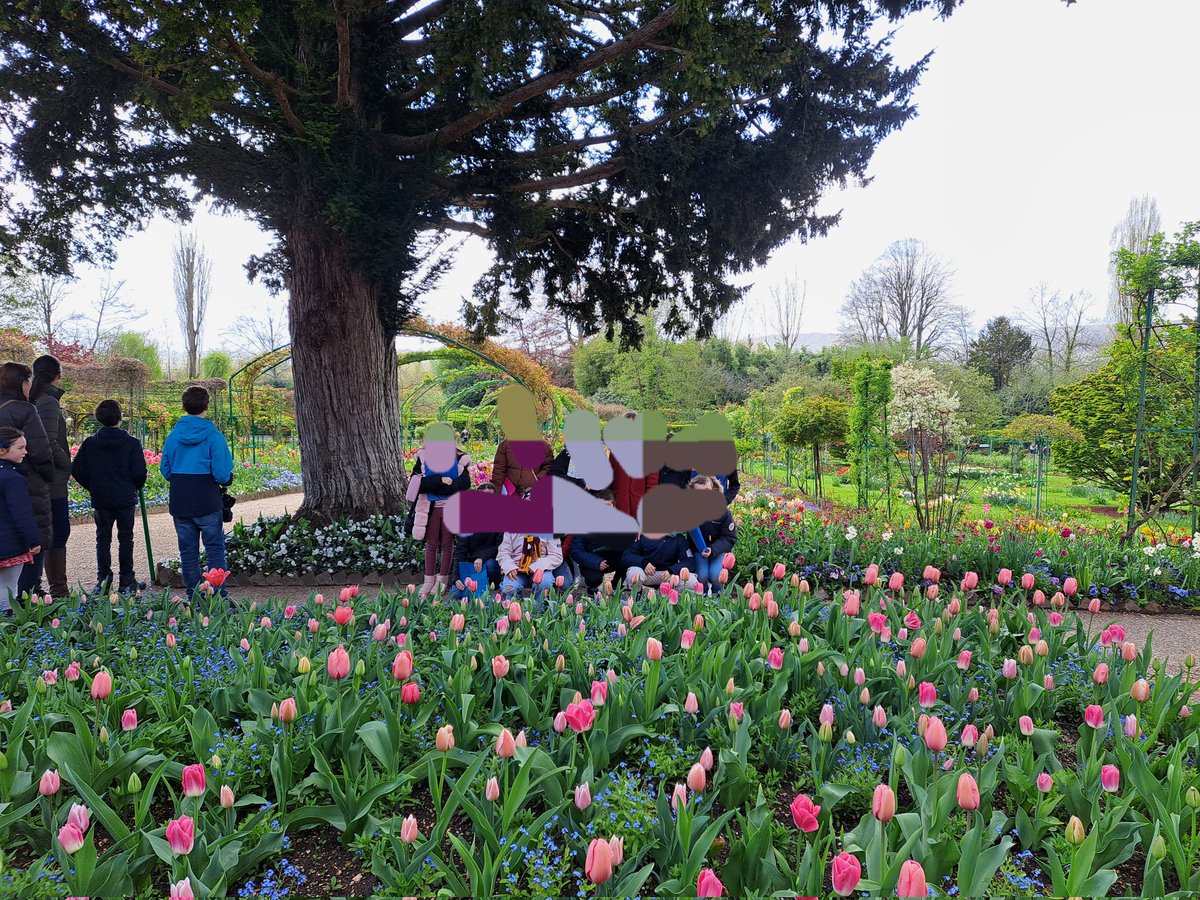 ecole_rai's tweet photo. Sur les traces de Claude Monet : les élèves de CE1-CE2 et de CM1 se sont rendus à Giverny pour visiter la maison et le jardin de Claude Monet. L'après-midi, ils ont visité l'exposition Les Enfants de l'impressionnisme, proposée actuellement au musée des Impressionnistes https://t.co/HlrfLKR53j