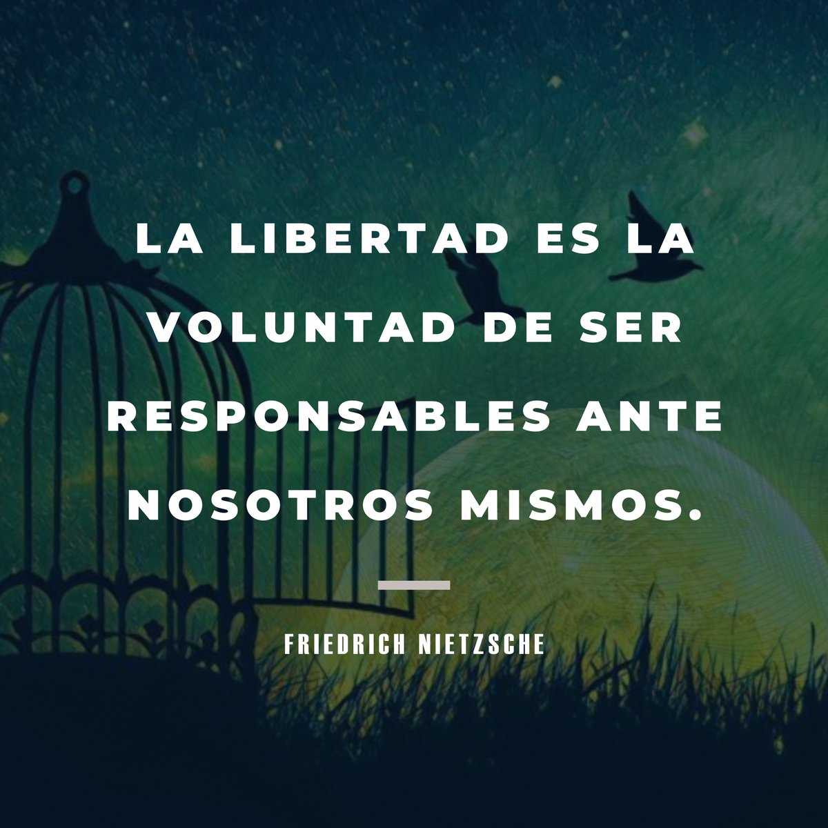 ⚖️Luis G Rivas V 
Tu Abogado Defensor y Asesor Legal 

#MÉRIDA 🇻🇪 #Venezuela