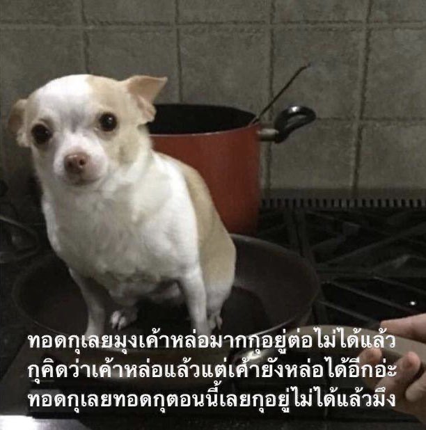 2803cm's tweet photo. ความรู้สึกต่องานวันนี้แบบภาพรวม https://t.co/ZUwg32Ea2H