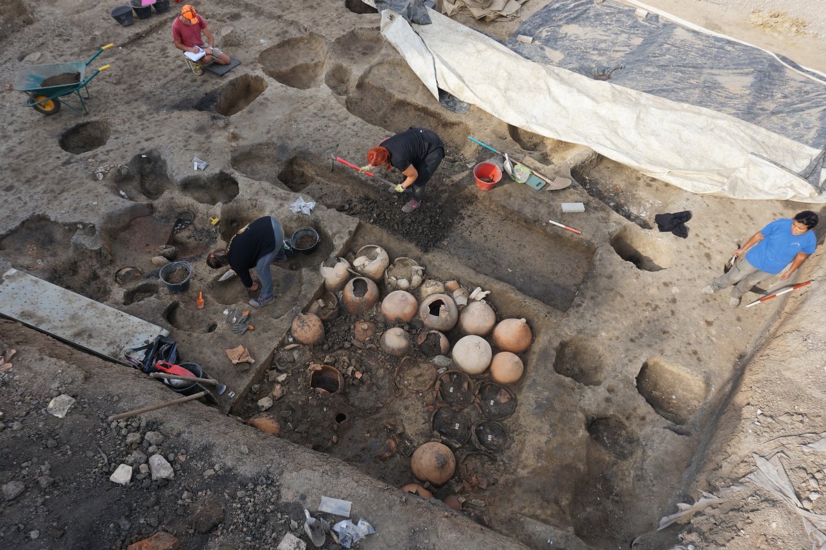 Indagini archeologiche preventive condotte a Padova, in via Campagnola, per la realizzazione di un campus universitario polifunzionale hanno portato alla scoperta di una delle più grandi necropoli di età romana della città. Ve ne abbiamo parlato su Archeo!