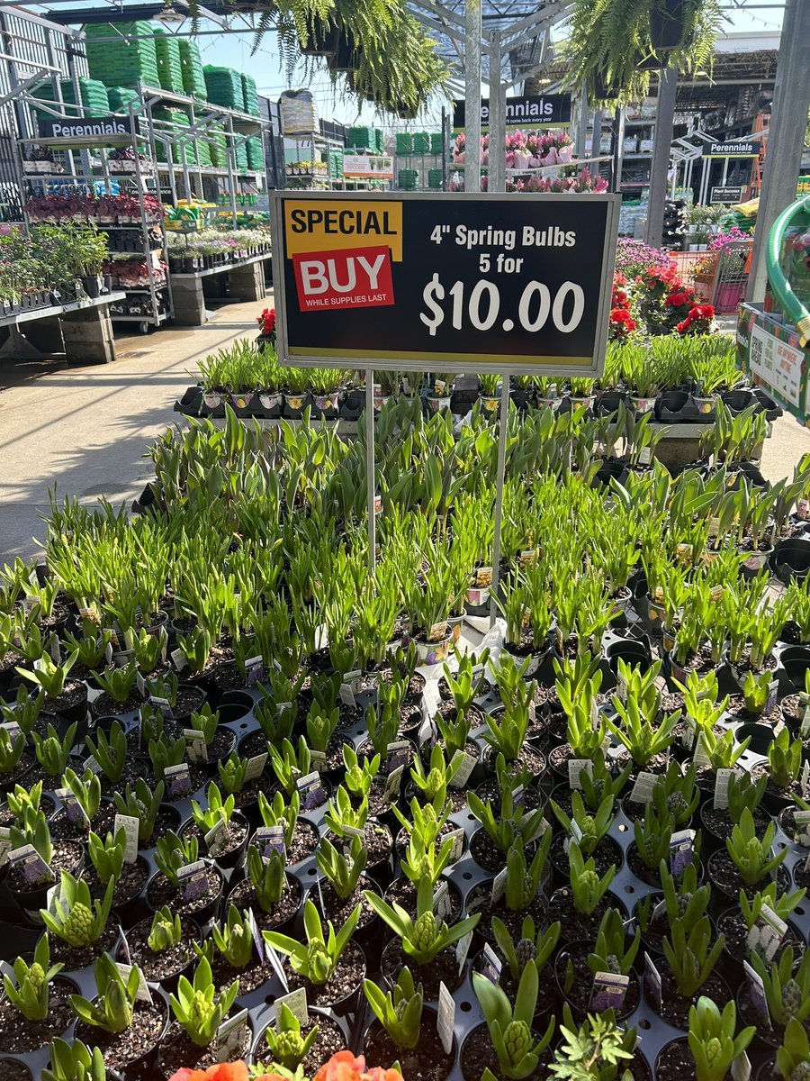Have you checked out the awesome Ad happening at the <a href="/HomeDepot/">The Home Depot</a> ! <a href="/angela_afazi/">Angela</a>