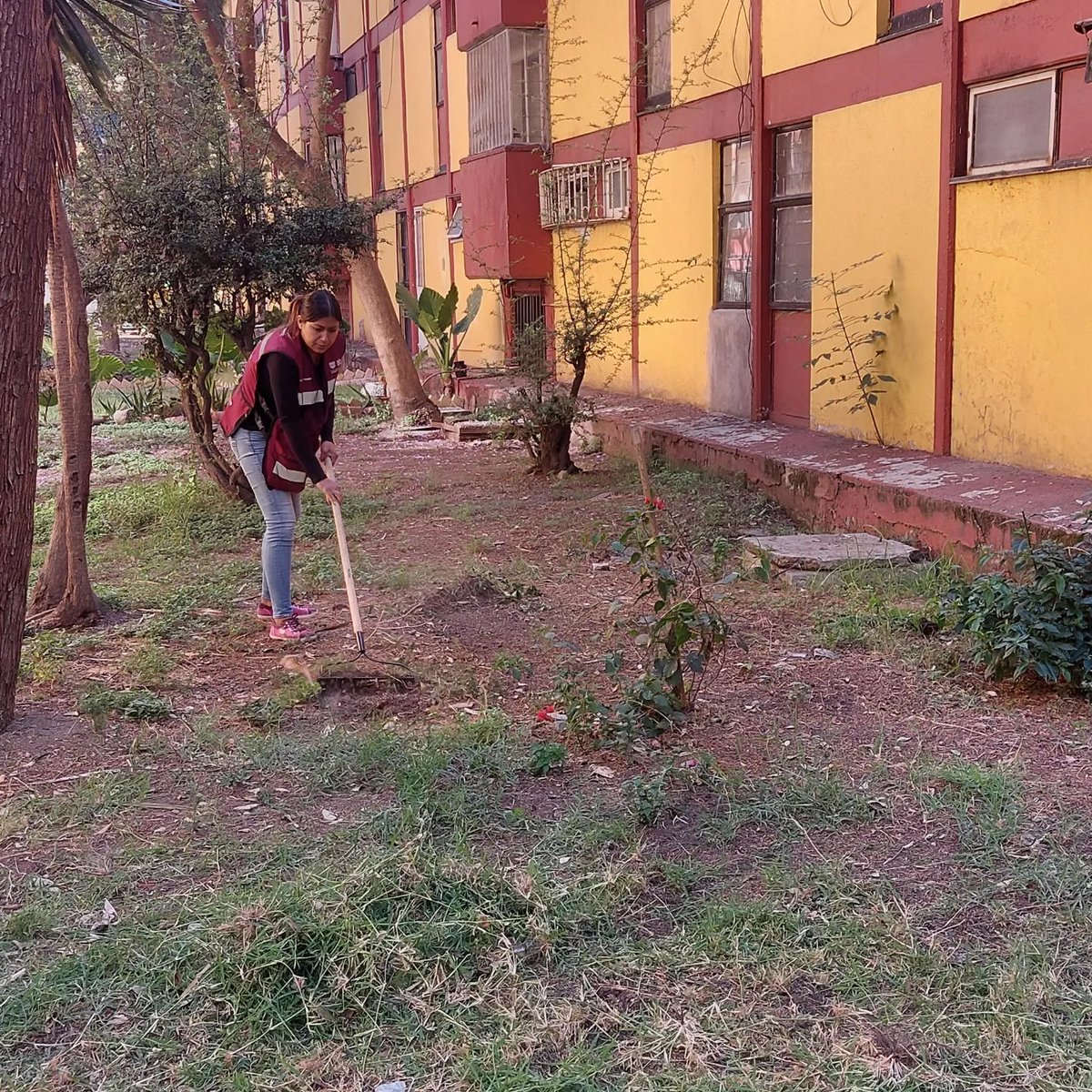 PROSOCVC's tweet photo. Compañeros de trabajo en tu unidad realizan su jornada en la Unidad Kennedy sección C en la Jardín balbuena beneficiando a los habitantes de esta emblemática unidad.

@ProsocCDMX @ClaudiaGalavizS @GobCDMX @Claudiashein @Victorcalvosa https://t.co/GeLmR2cuN6