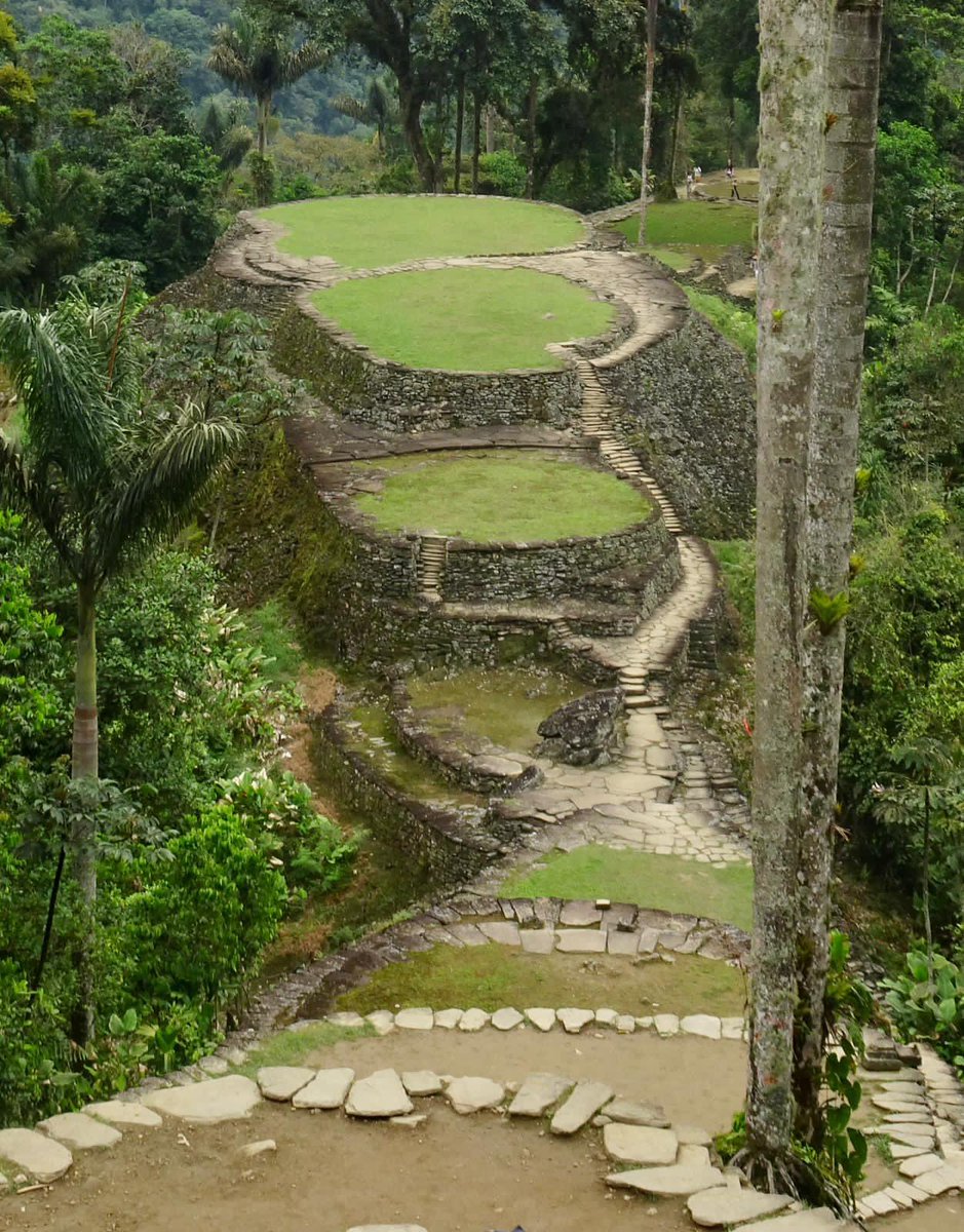 Tim Hemmings tweet media