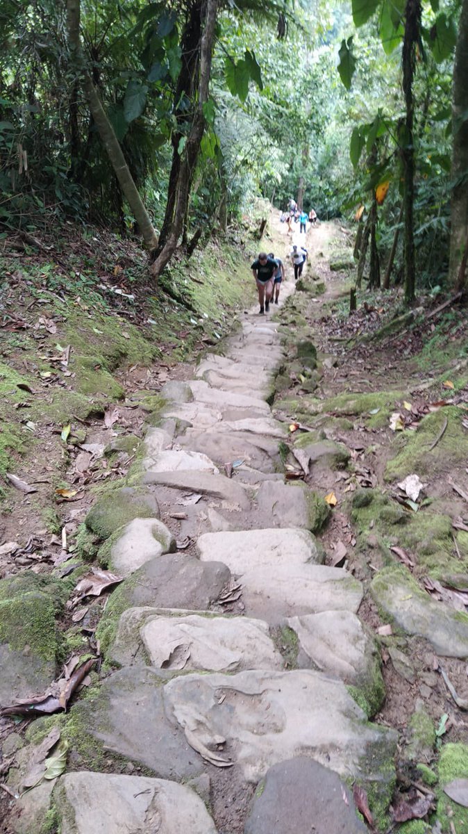 Tim Hemmings tweet media