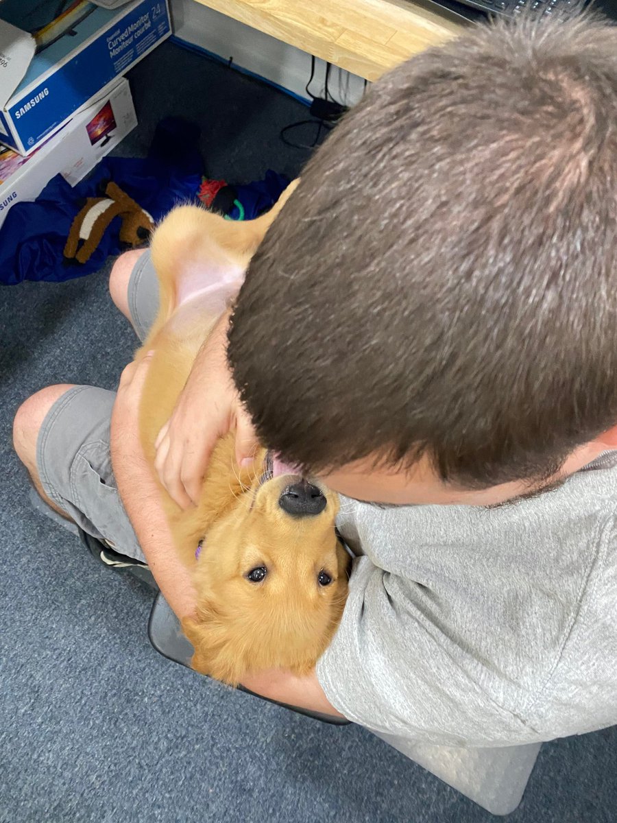 Bacon4EverEver tweet media