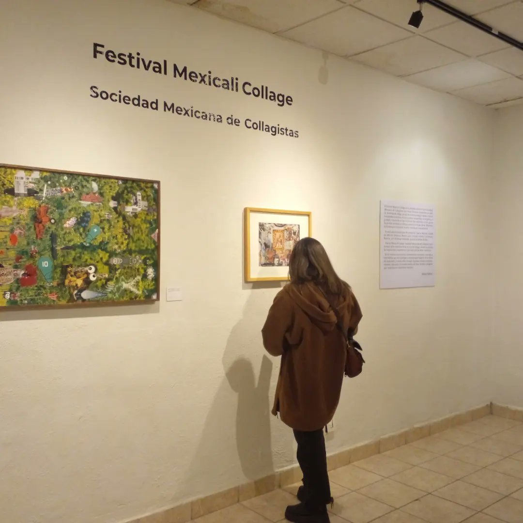 Francisco Toro- Collage tweet media