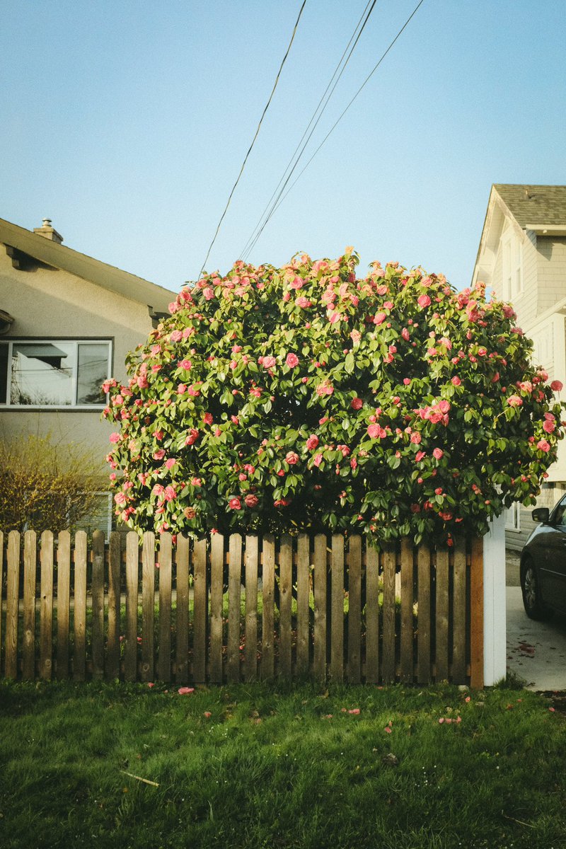 Ø₳₭ ➳ tweet media