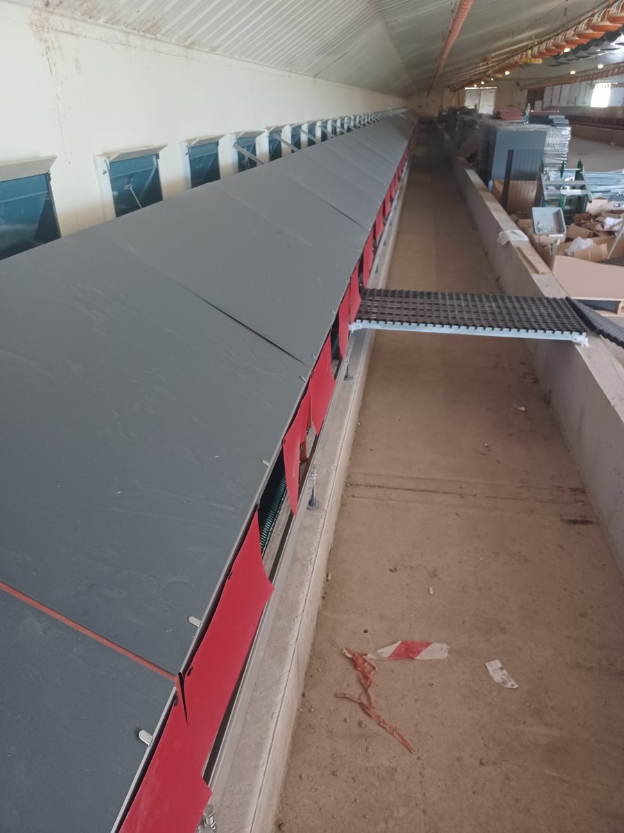 MulveyPadraig's tweet photo. First in Ireland. Installation under way of the Vencomatic Automatic Duck Laying Nest for Silver Hill Duck in Co Monaghan.
#vencomatic #silverhillduck https://t.co/X2i3rI1A1n