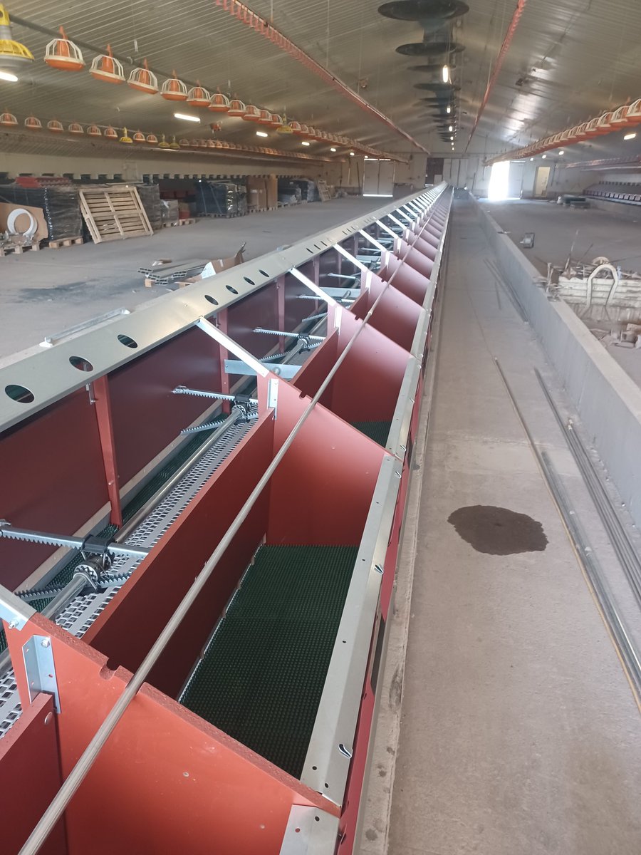MulveyPadraig's tweet photo. First in Ireland. Installation under way of the Vencomatic Automatic Duck Laying Nest for Silver Hill Duck in Co Monaghan.
#vencomatic #silverhillduck https://t.co/X2i3rI1A1n