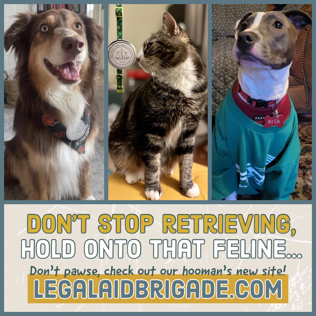 legalaidbrigade's tweet photo. Follow our furry friends to our NEW website: https://t.co/0GP9Q8DXpp #solab #supportunions #southwestohio https://t.co/oDMF7euEpn