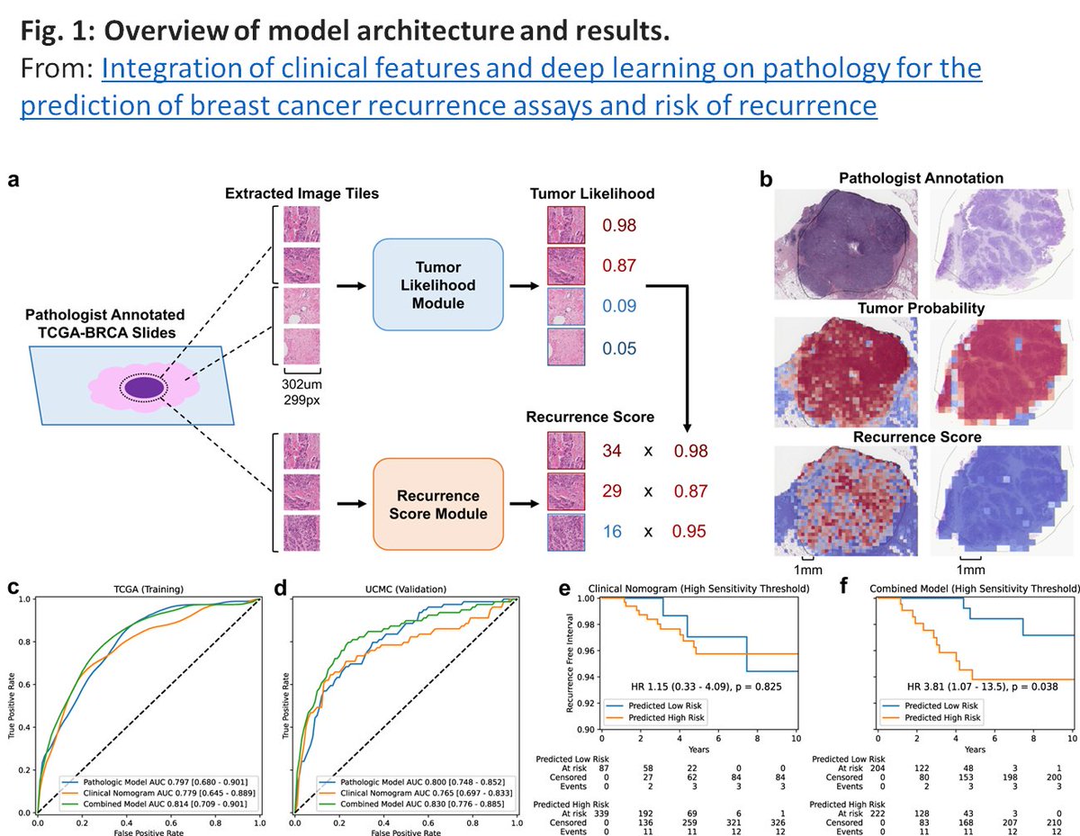 UCCancerCenter's tweet image. Hot off the press 🔥
@fredhow and colleagues published a research article in #NPJBreastCancer demonstrating the utility of #DeepLearningTools in predicting the risk of recurrence in #BreastCancer patients.
@UCCancerCenter @uchicago_obgyn
ow.ly/pAA950NJlQJ
