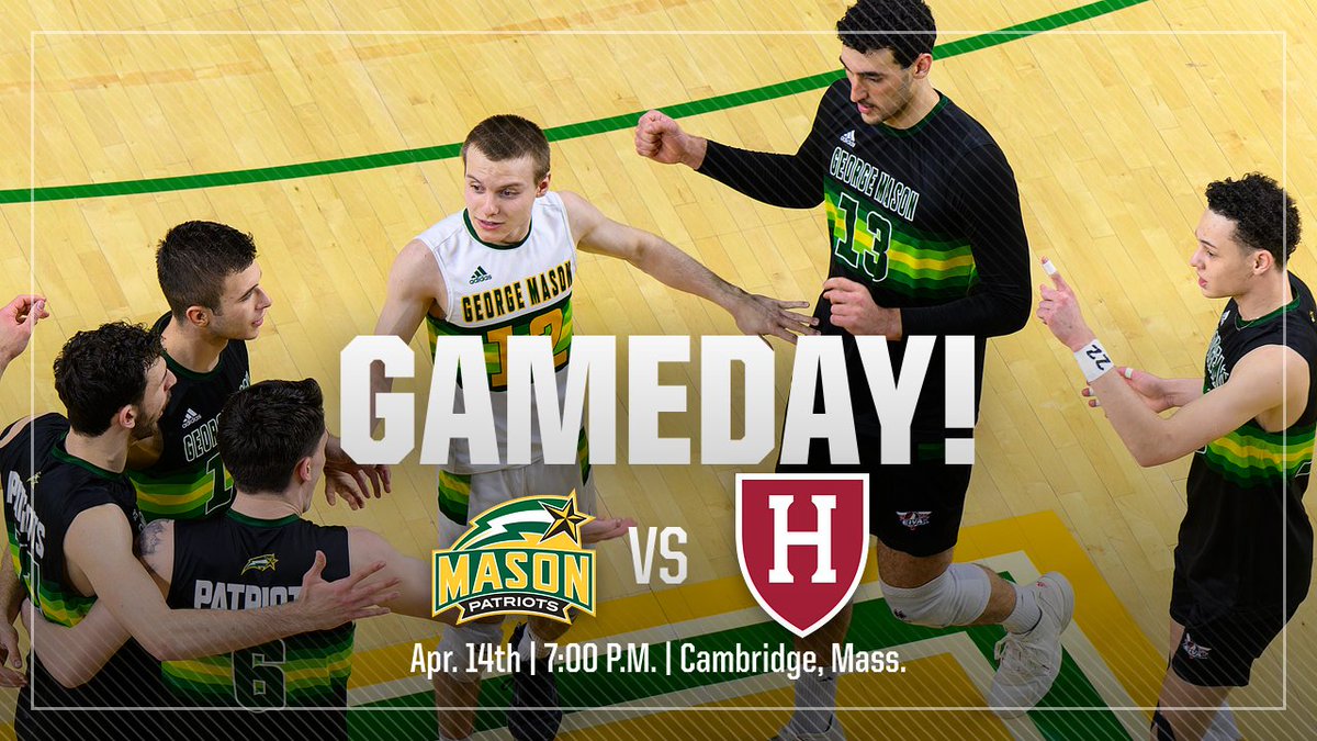 George Mason Men's Volleyball tweet media