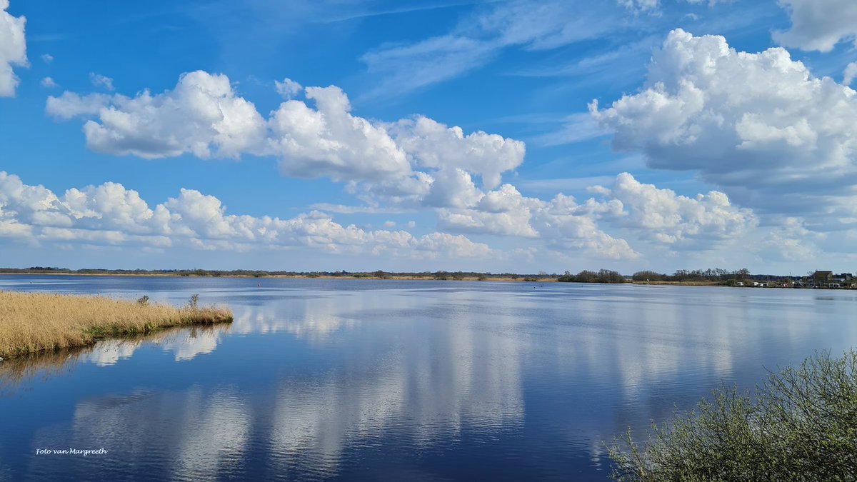 Op fietske langs het Leekstermeer ☀️ @buienradar @weermanreinier @WilliamHuizinga @helgavanleur @marjondehond  #ThePhotoHour #Reflections #TwitterNaturePhotography #TwitterNatureCommunity #NaturePhotography #NatureBeauty #genieten #nietzondernatuur