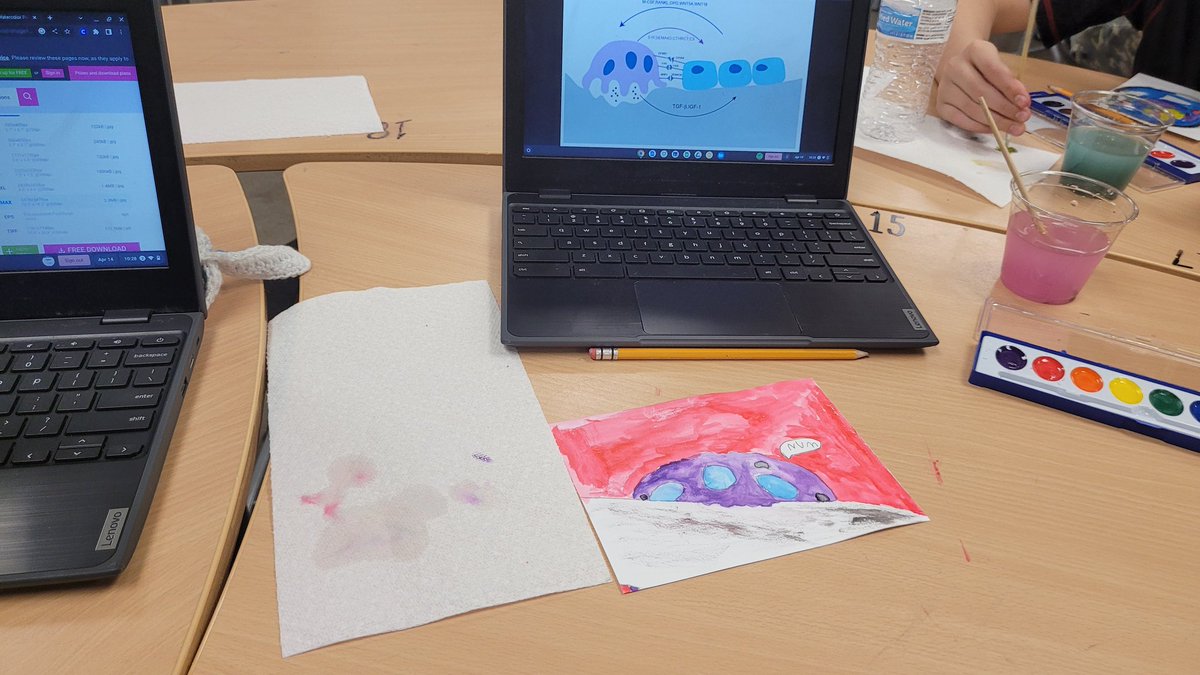 MizLock4's tweet image. 6th grade Science. Intro to Cells @KoopTiffany #tatham #TLMS