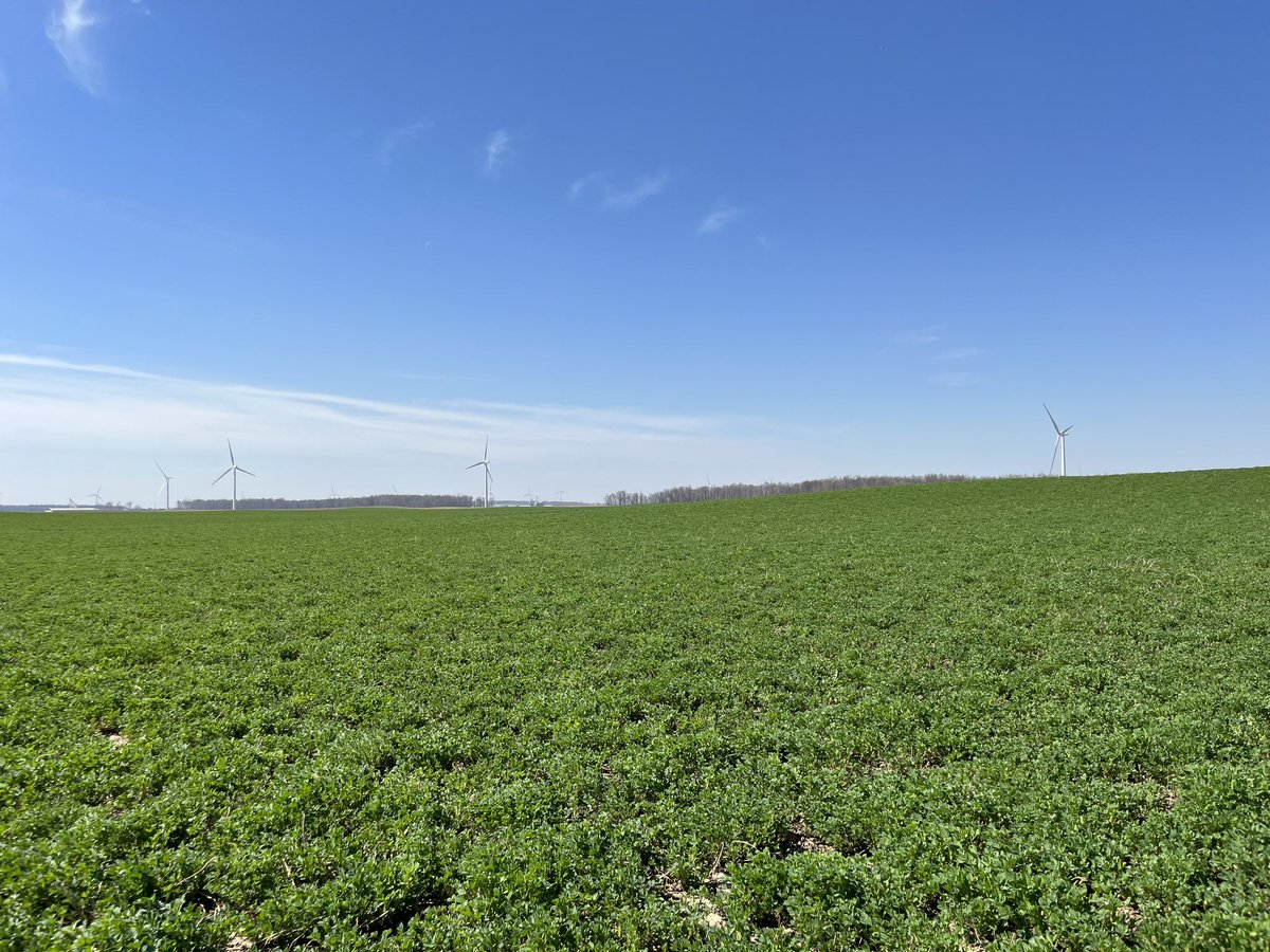 With this warm weather, alfalfa is rocking … lots of fertilizer getting spread around the country side to feed this super hungry crop … Gotta feed the crops that feed the cows! 🐄 🐄🐄🐄

#foragefriday #cowchow #ontag