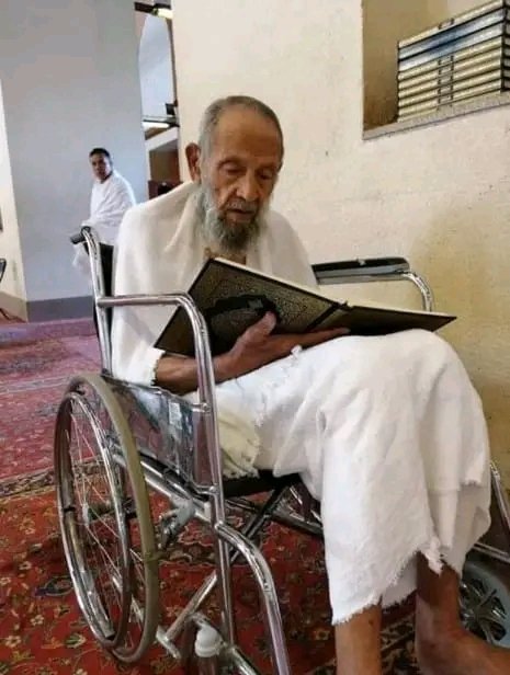 MuhdYahyaFodio's tweet image. Today's the best Photo 🌿🥰