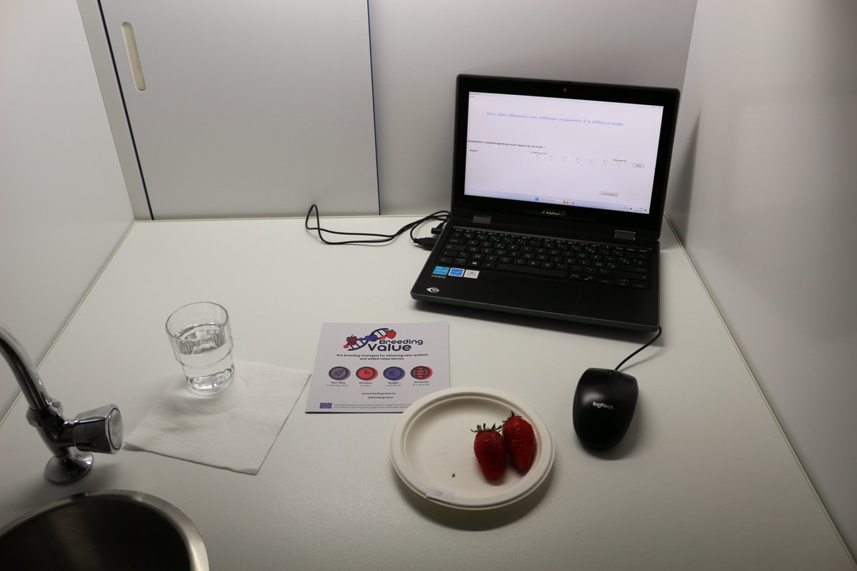 INVENIO - pôle Innovation Variétale Fraise tweet media