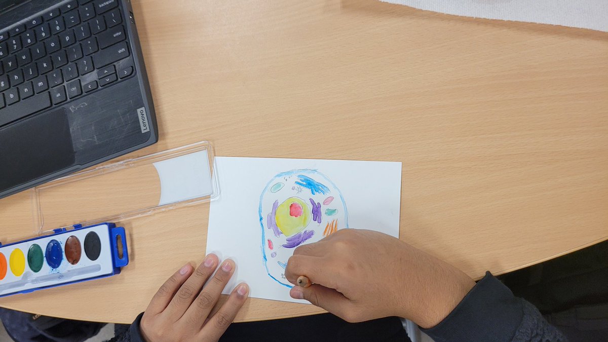 MizLock4's tweet image. 6th grade Science. Intro to Cells @KoopTiffany #tatham #TLMS