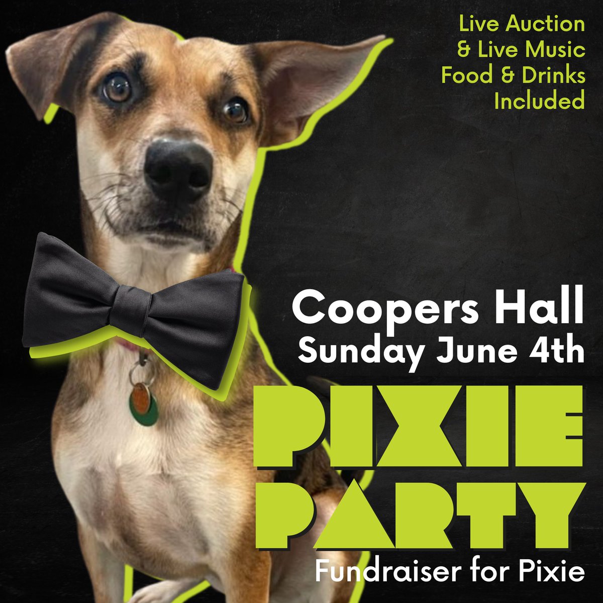 thepixieproject tweet media