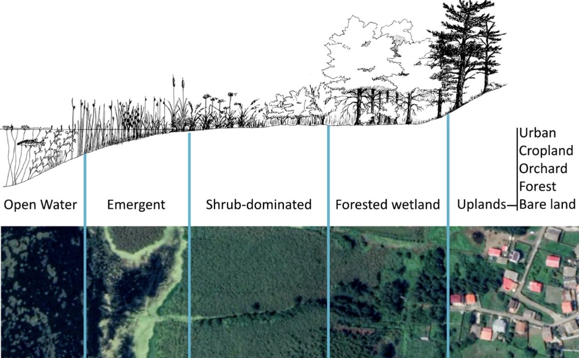 📢 Thrilled to announce the publication of our new research article: 'Iranian #Wetland Inventory Map at a Spatial Resolution of 10 m using #Sentinel1 and #Sentinel2 Data on the #GoogleEarthEngine (#GEE) Cloud Computing Platform'! 🌍🛰️

🔗link.springer.com/article/10.100…