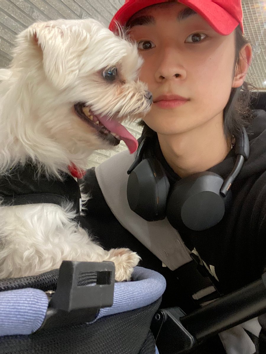 Official2z_jp's tweet image. [#2Z]

子育て大変だ...

#2Z #2Zband #Kband
#정현 #JungHyun #2Z정현