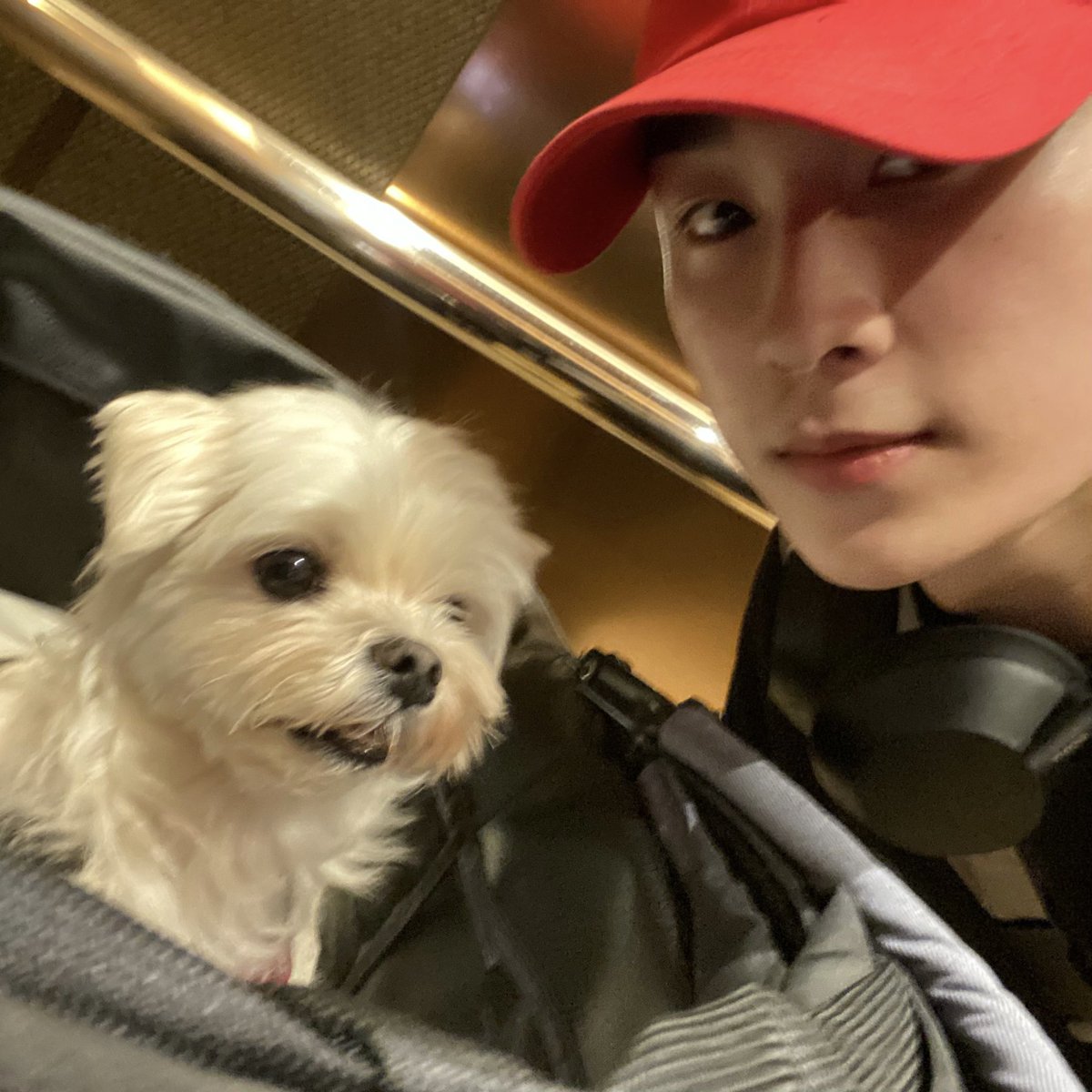 official2z's tweet photo. [#2Z]

육아 힘들다...

#2Z #2Zband #Kband
#정현 #JungHyun #2Z정현 https://t.co/d6AwqgmtUT