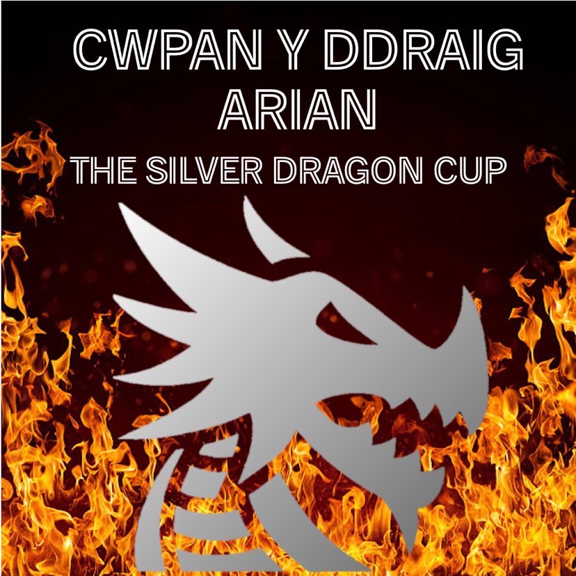 Great News. We will be hosting England, India and USA in a quadrangular o50s International tournament in Wales this summer. 

We thank <a href="/NewportCricketC/">Newport Cricket Club</a> for the use of their ground on the 9-11th July where we will be playing for the Cwpan y Ddraig Arian, The Silver Dragon Cup.