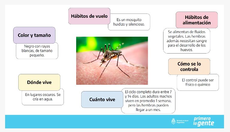 AFE_Arg's tweet photo. 🔶️ Nación sigue capacitando equipos que realizan operativos territoriales para la prevención y mitigación del #Dengue y #chikungunya. 🦟

+info https://t.co/NXjlXln464 https://t.co/kggCpce0Ig