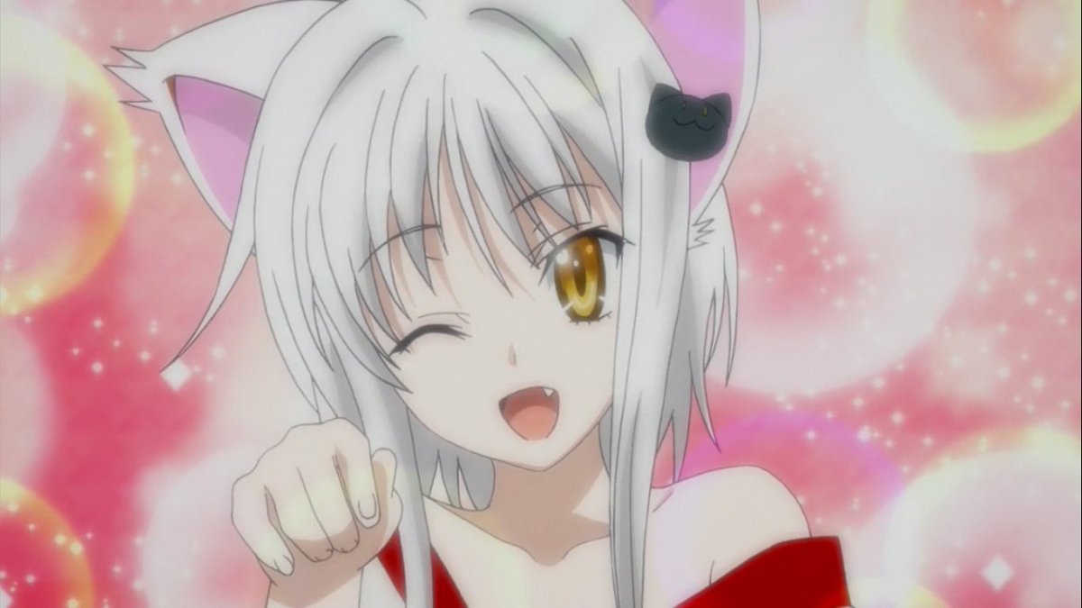 WHCDaily's tweet photo. The white hair character of the day is Koneko Toujou from High School DxD. https://t.co/Opz9ATeIvf