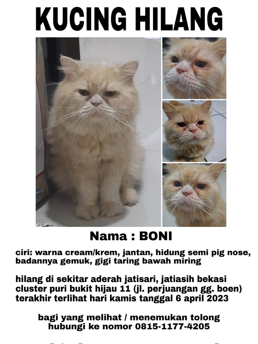 leeknowstop's tweet photo. HELP RT! π, DiCARI KUCING HILANG
Di sekitar daerah Jatisari, Jatiasih Bekasi, Cluster puri bukit hijau 11 ( jl. perjuangan gg. boen ), Terakhir terlihat kamis 6 april 2023. Ciri terlampir difoto.
Bantu retweet ya teman" ππ»πΏ #kucinghilang #jatisari #jatiasih https://t.co/m8LyJoqOCU