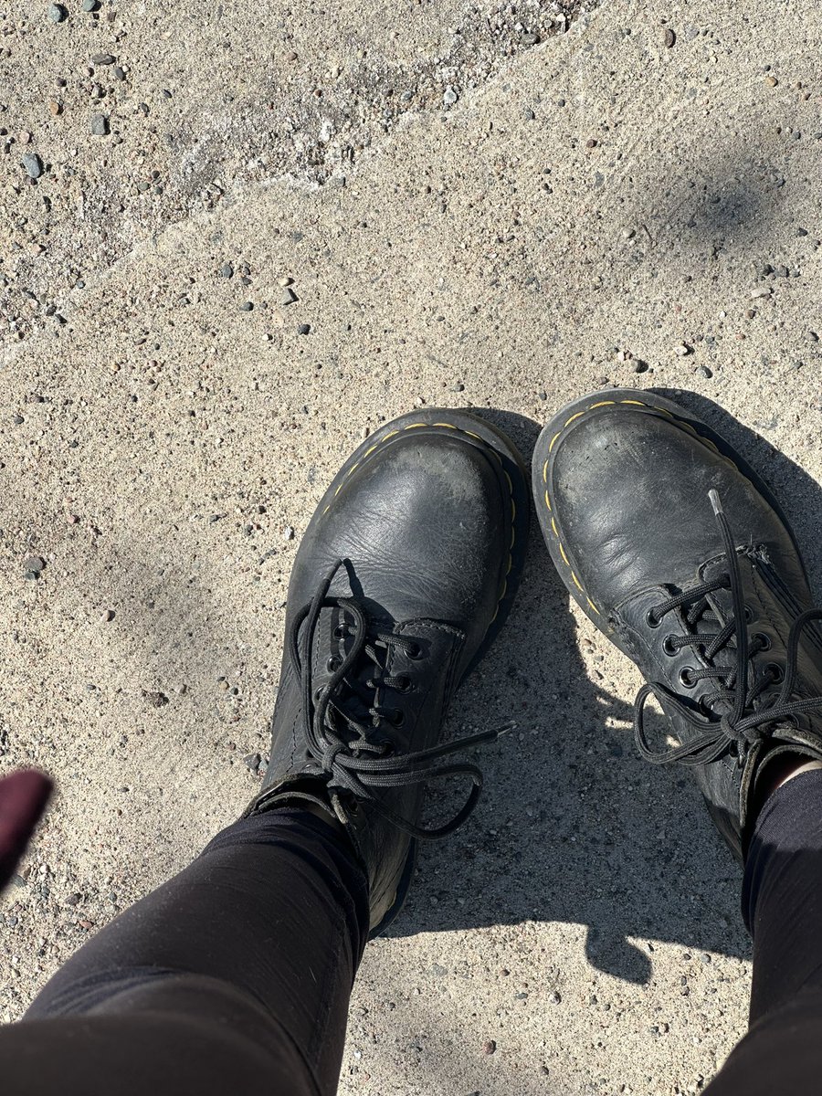 bri 👽 tweet media