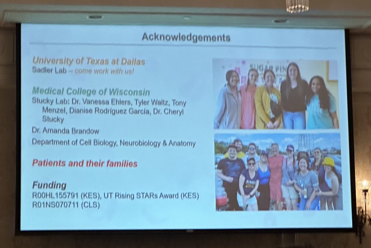 DrAmandaBrandow's tweet image. Congratulations to ⁦@KateSadlerPhD⁩ on her work presented at #usasp focused on the role of the microbiome in #sicklecelldisease pain in the mouse model. Amazing and elegant work to improve knowledge of sickle cell pain!