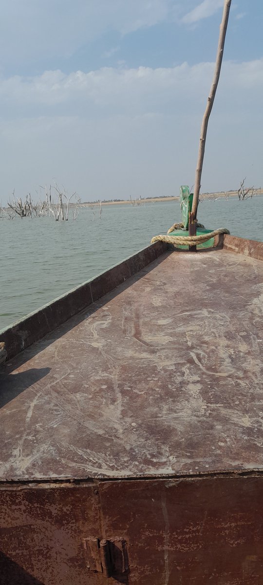 DMSMTP's tweet image. #JioCinema ab to #Dishtv ka recharge  karana padega #jioappdown #jio #TATAIPL2023 ..recharge  karane ja raha hu ..meri nav m a jao sab