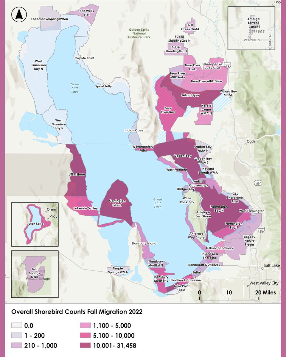 Sageland Collaborative tweet media