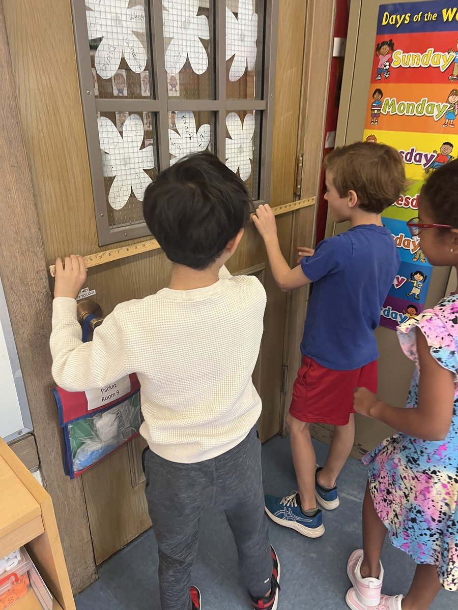 Teri Peragallo tweet media