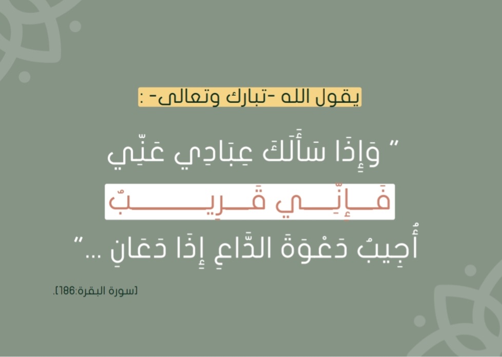 بشاير tweet media